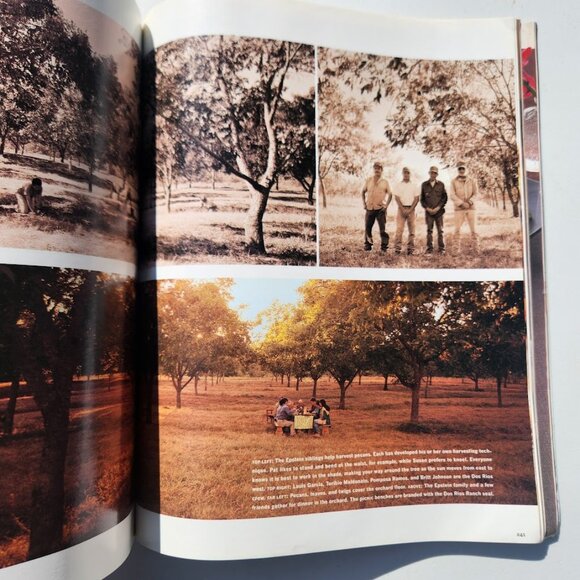 2000 October Martha Stewart LIVING Magazine AUTUMN Haunted House Fall Decor Book - Picture 7 of 10